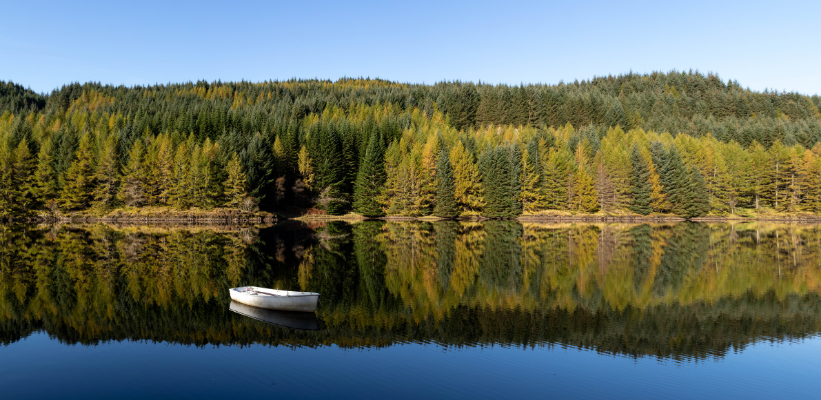 Why Slow Marketing is a More Client-Friendly Sales Method