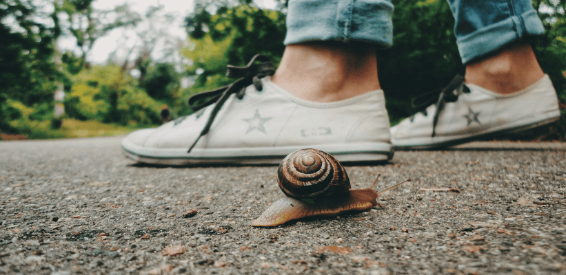 Discover The New Marketing Trend: As Slow As Possible (Asap)