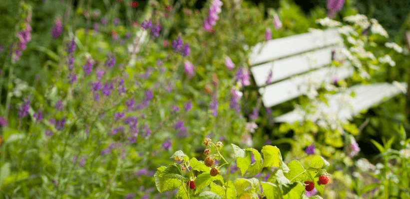 Inspiring Tales of Rewilding Success in Scotland & Beyond